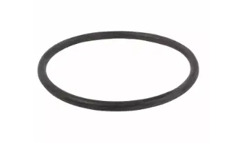 Popularny Uszczelka termostatu Ford Mustang 2015-2023 / BR3E-8255-AA